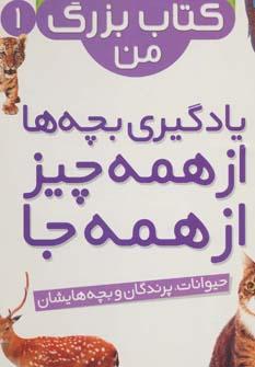 عکس یادگیری بچه‌ها، از همه چیز، از همه جا