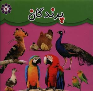 عکس پرندگان