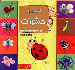 عکس آشنایی با حشرات = Introduction to insects