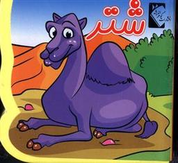 عکس شتر