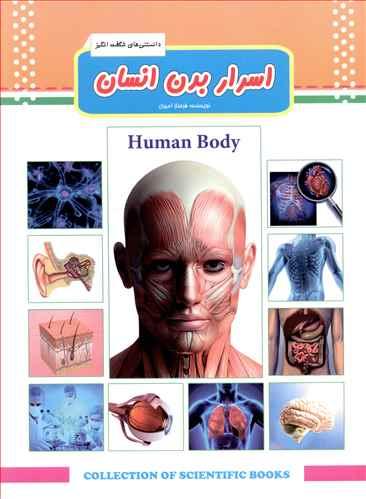 عکس اسرار بدن انسان= Human Body