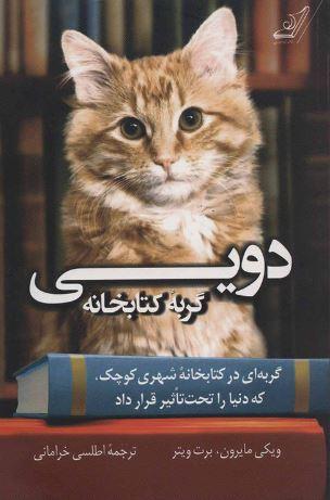 عکس دویی گربه کتابخانه