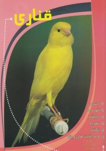 عکس قناری
