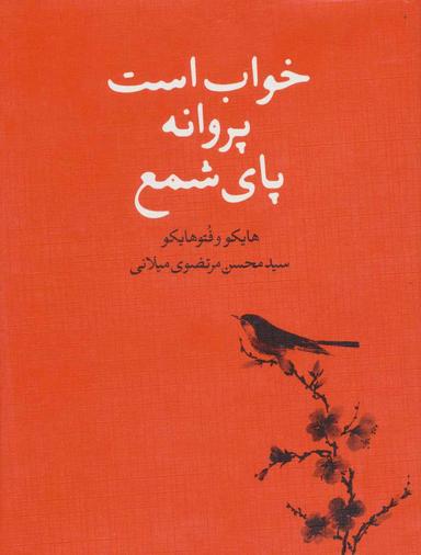 عکس خواب است پروانه پای شمع