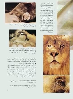 عکس چرا و چگونه (جلدهای ۱تا۷)