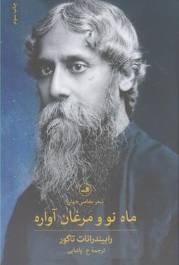 عکس پرسه زیر درختان تاغ
