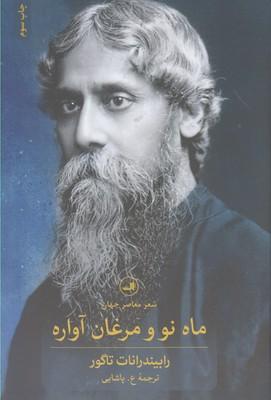 عکس پرسه زیر درختان تاغ