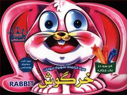 عکس خرگوش