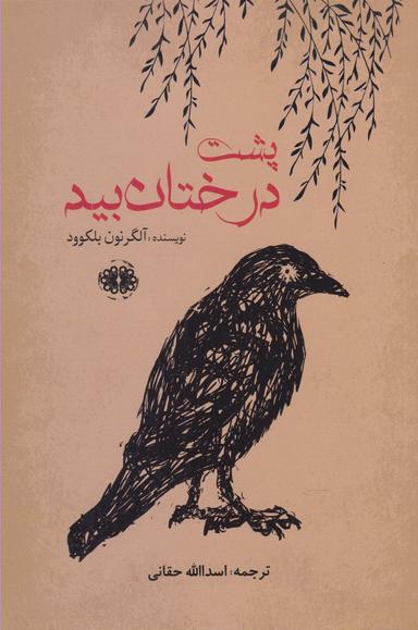 عکس پشت درختان بید