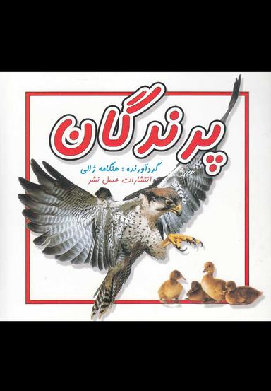 عکس پرندگان