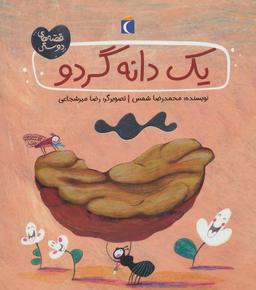 عکس یک دانه گردو