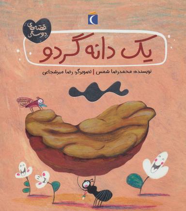 عکس یک دانه گردو