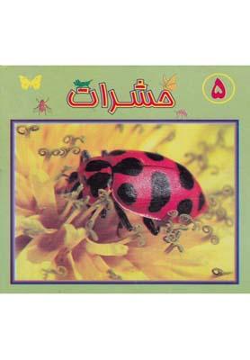 عکس حشرات