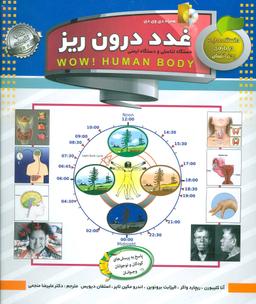 عکس غدد درون ریز (دانستنی‌هایی درباره بدن)