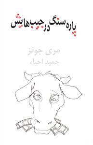 عکس پاره‌سنگ در جیب‌هایش (نمایشنامه)