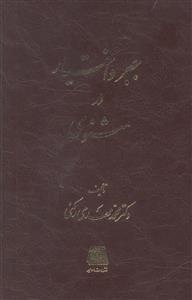 عکس جبر و اختیار در مثنوی