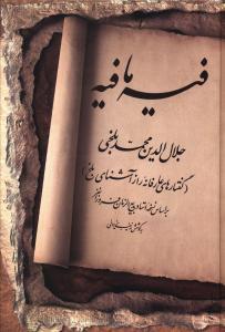 عکس فیه ما فیه (گفتارهای عارفانهٔ راز آشنای بلخ)