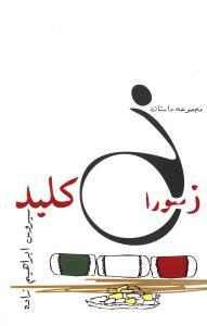 عکس از سوراخ کلید: مجموعه داستان