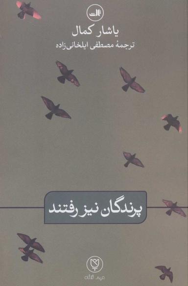عکس پرندگان نیز رفتند
