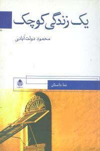 عکس یک زندگی کوچک: نما داستان