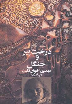 عکس درخت پیر و جنگل