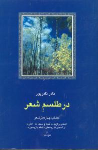 عکس در طلسم شعر