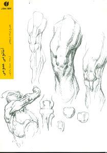 عکس آناتومی عمومی