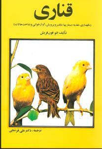 عکس قناری