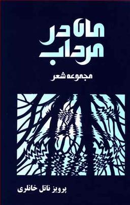 عکس ماه در مرداب: مجموعه شعر
