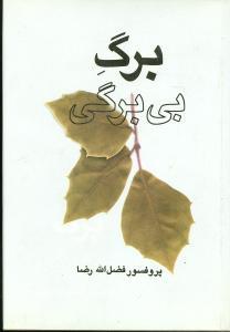 عکس برگ بی‌برگی (مجموعه مقالات فرهنگی)