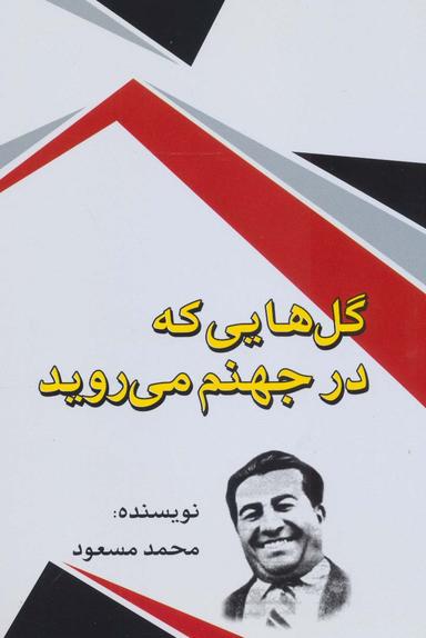 عکس گل‌هایی که در جهنم می‌رویند