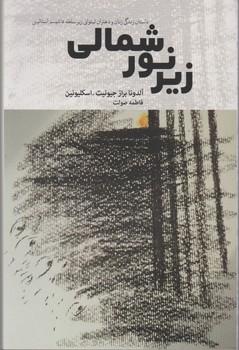 عکس زیر نور شمالی