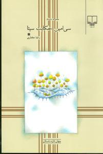 عکس سی‌امین حکایت سیتا (مجموعه داستان)