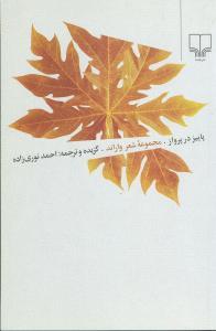 عکس پاییز در پرواز
