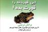 عکس قورباغه را قورت بده!
