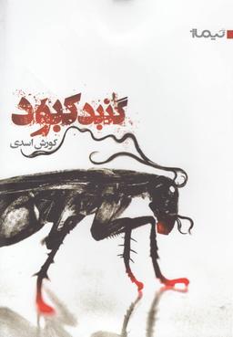 عکس گنبد کبود