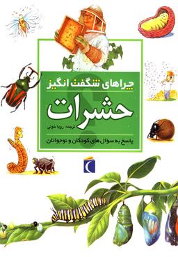 عکس چراهای شگفت انگیز (حشرات)