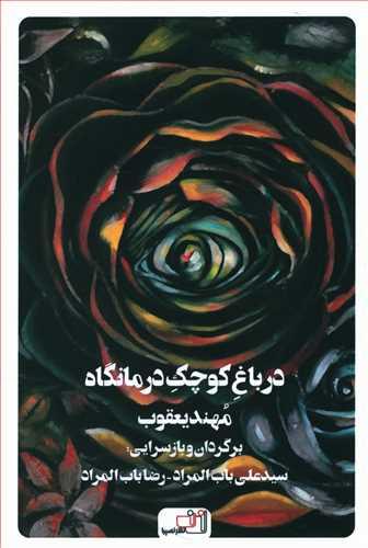 عکس در باغ کوچک درمانگاه: مجموعه شعر