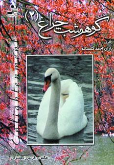 عکس گوهر شب چراغ (۲) (جیبی)