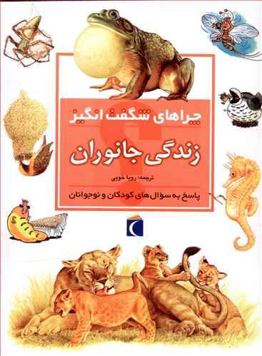عکس چراهای شگفت‌انگیز (زندگی جانوران)