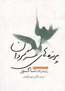 عکس پرنده‌های سرگردان
