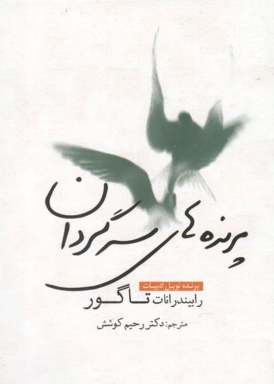 عکس پرنده‌های سرگردان
