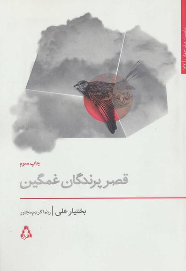 عکس قصر پرندگان غمگین (رمان)