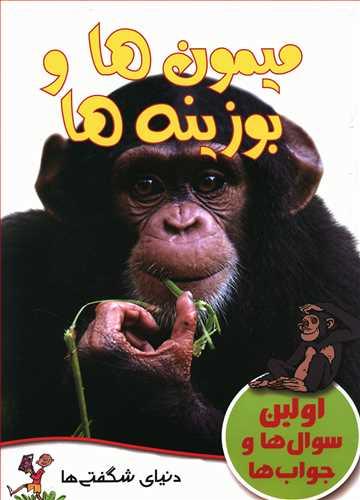 عکس میمون‌ها و بوزینه‌ها