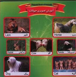 عکس آموزش تصویری حیوانات