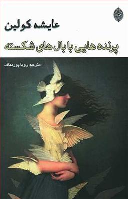 عکس پرنده‌هایی با بال‌های شکسته