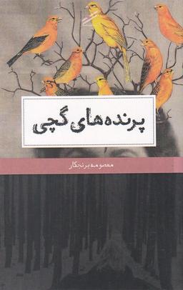 عکس پرنده‌های گچی