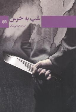 عکس شب به خرس