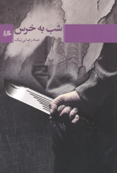 عکس شب به خرس