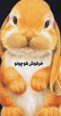 عکس خرگوش کوچولو